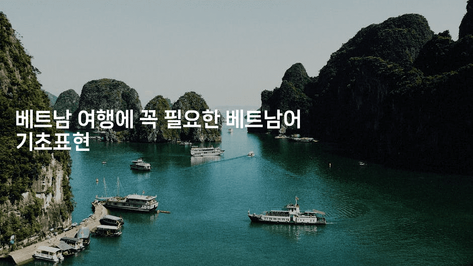 베트남 여행에 꼭 필요한 베트남어 기초표현