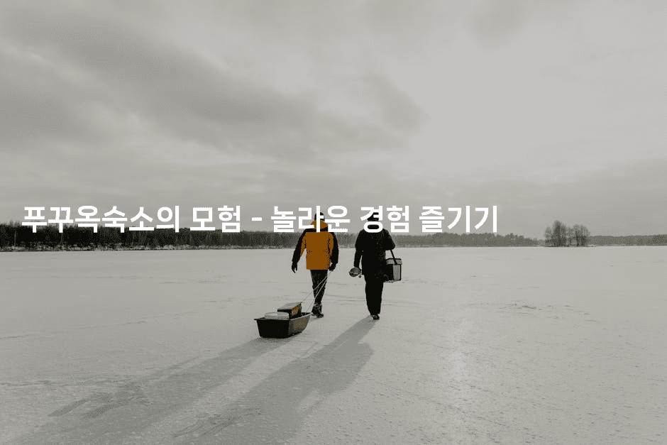 푸꾸옥숙소의 모험 - 놀라운 경험 즐기기2-베트리