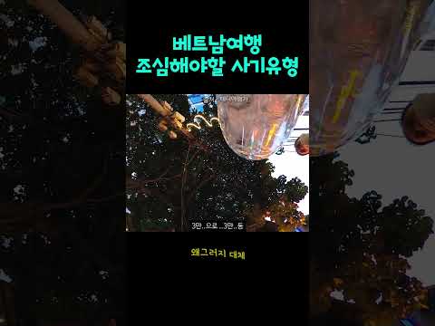 주의) 베트남 사기 유형