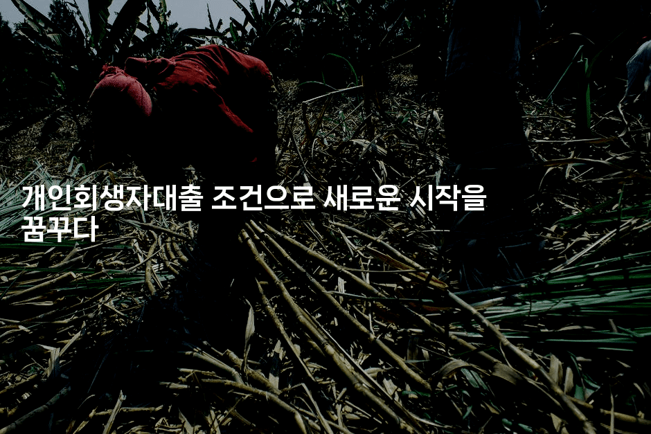 개인회생자대출 조건으로 새로운 시작을 꿈꾸다-베트리