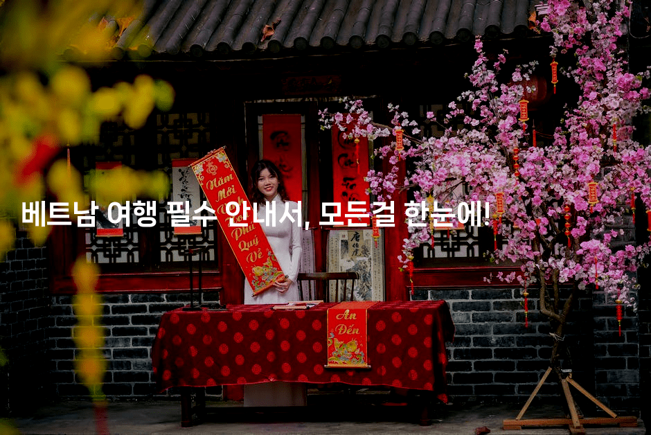 베트남 여행 필수 안내서, 모든걸 한눈에!