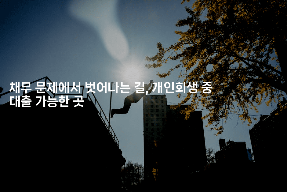 채무 문제에서 벗어나는 길, 개인회생 중 대출 가능한 곳-베트리