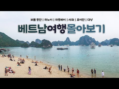 베트남 보름 여행 몰아보기｜하노이, 하롱베이, 사파, 호이안, 다낭까지 15박 16일 나혼자 베트남여행 브이로그 통합본｜베트남여행 하는사람er