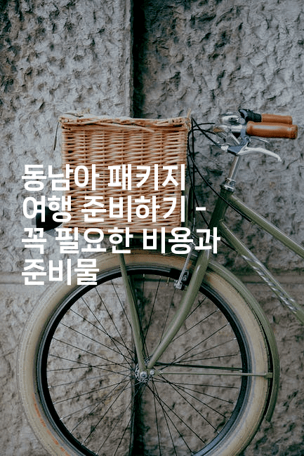 동남아 패키지 여행 준비하기 - 꼭 필요한 비용과 준비물-베트리