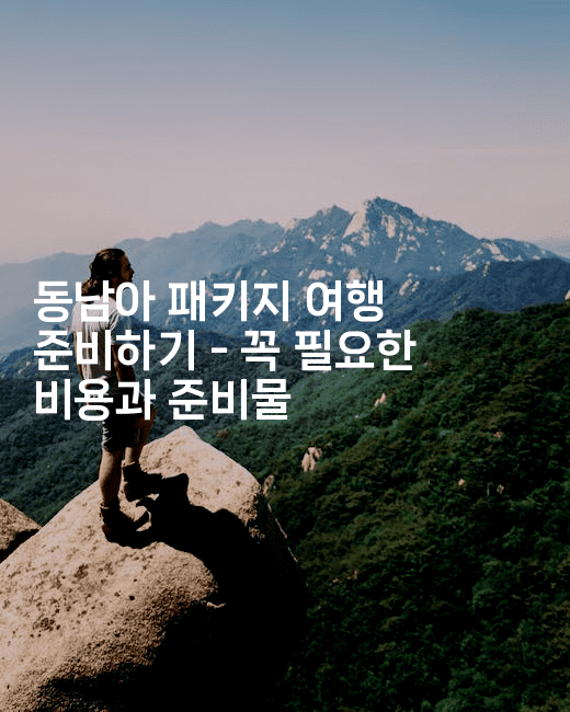 동남아 패키지 여행 준비하기 - 꼭 필요한 비용과 준비물2-베트리