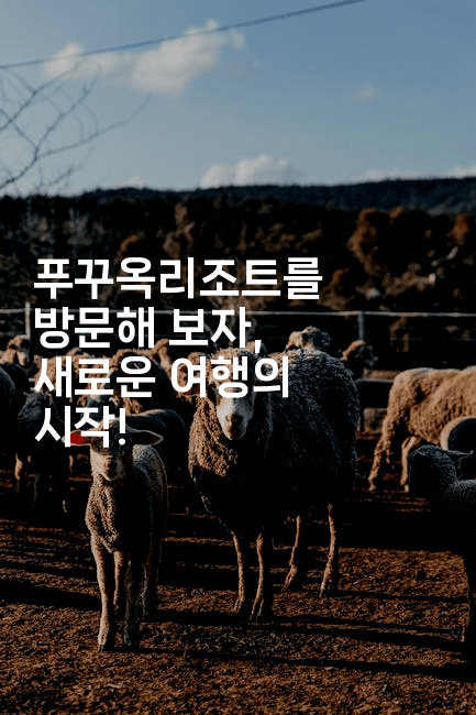 푸꾸옥리조트를 방문해 보자, 새로운 여행의 시작!2-베트리