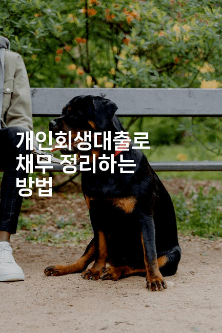 개인회생대출로 채무 정리하는 방법-베트리