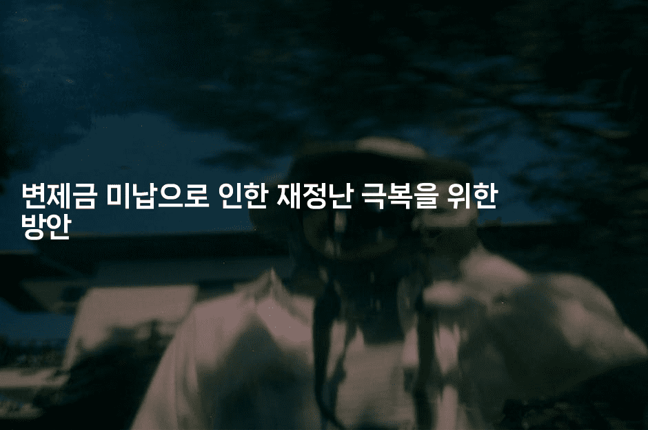 변제금 미납으로 인한 재정난 극복을 위한 방안-베트리