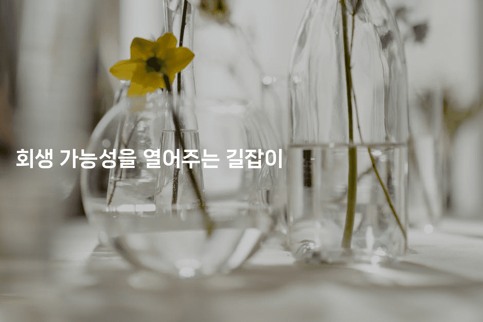 회생 가능성을 열어주는 길잡이-베트리