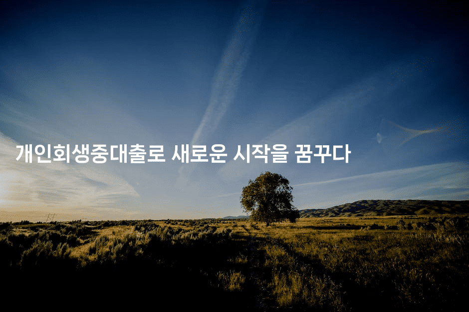 개인회생중대출로 새로운 시작을 꿈꾸다