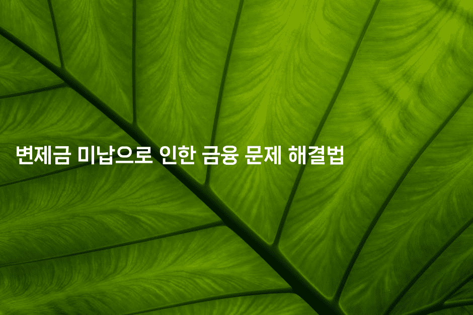 변제금 미납으로 인한 금융 문제 해결법-베트리