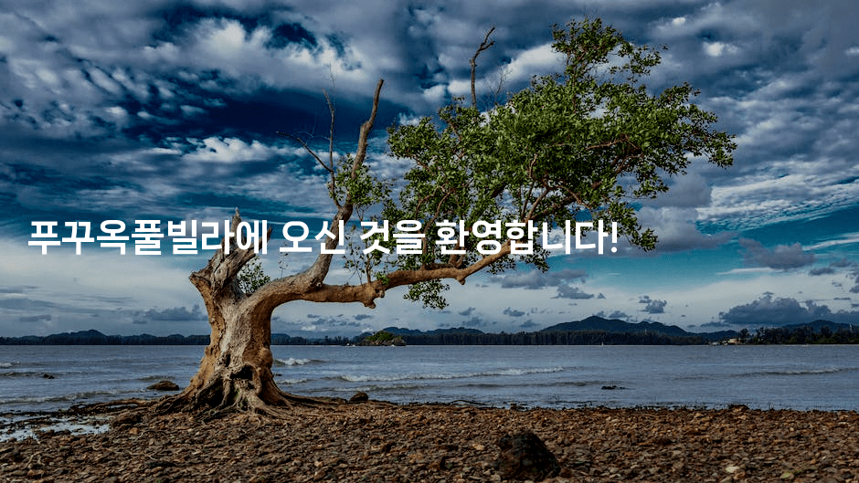 푸꾸옥풀빌라에 오신 것을 환영합니다!-베트리