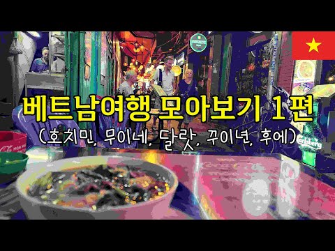 [베트남여행모아보기1편]어디 한두 군데 아픈 나이에 베트남에서 제일 괜찮은 여행지는 어디일까? #베트남쌀국수