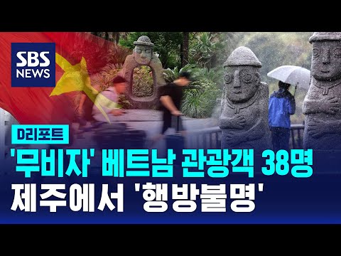 무사증 베트남 관광객 38명 잠적…업계 초비상 / SBS / #D리포트