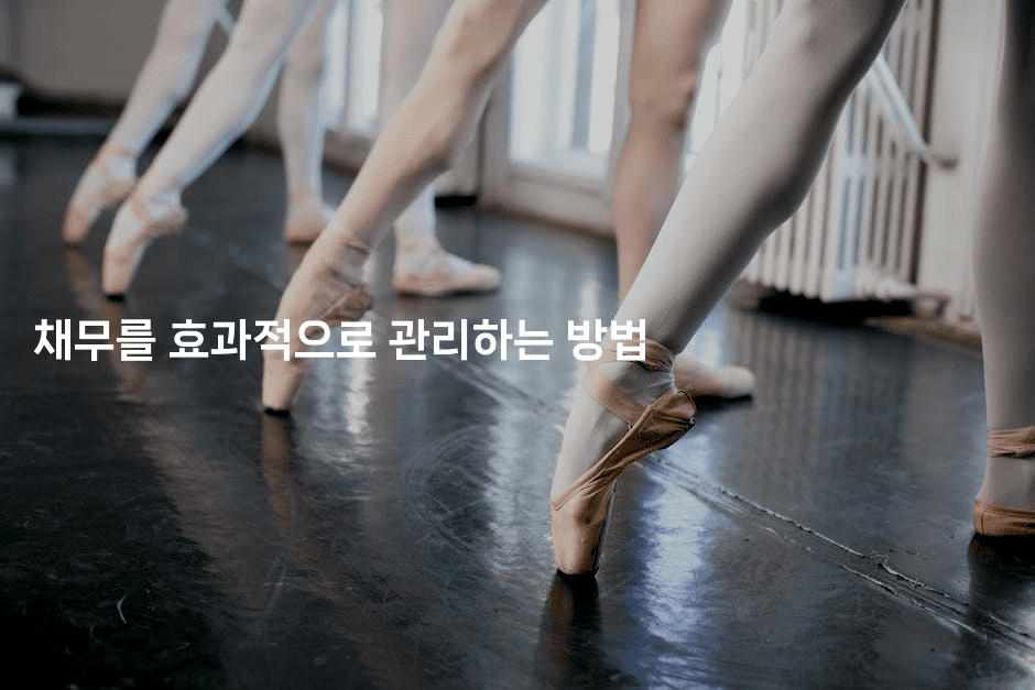 채무를 효과적으로 관리하는 방법-베트리