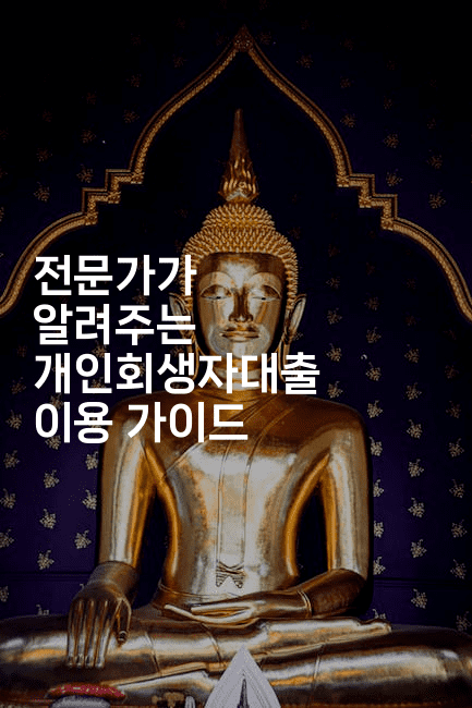 전문가가 알려주는 개인회생자대출 이용 가이드-베트리